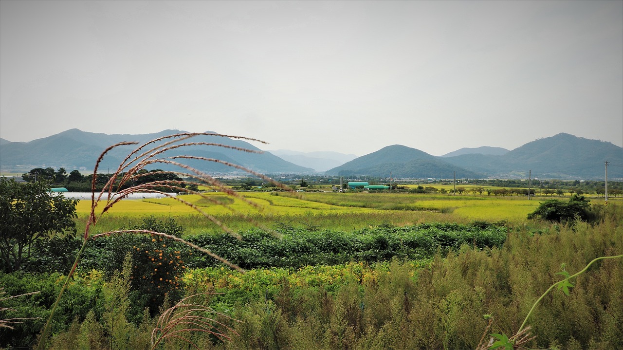 郑州植物园，绿意盎然的生态之旅 郑州植物园